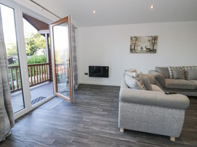 A living room with an open door to a balcony a grey sofa multiple cushions a wall-mounted electric fireplace and a painting at Luxury Lodge 53 in Dyserth