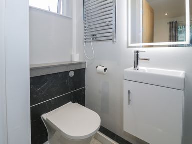 A bathroom with a toilet sink mirror and heated towel rail at Luxury Lodge 53 in Dyserth
