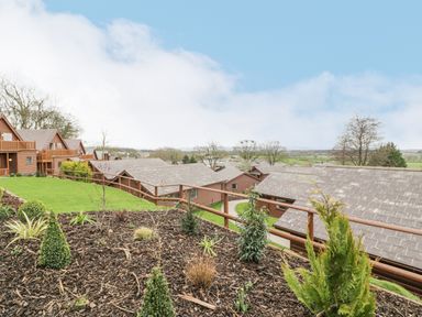 A landscaped garden with small shrubs and mulch overlooking wooden lodge buildings at Luxury Lodge 62 in Dyserth