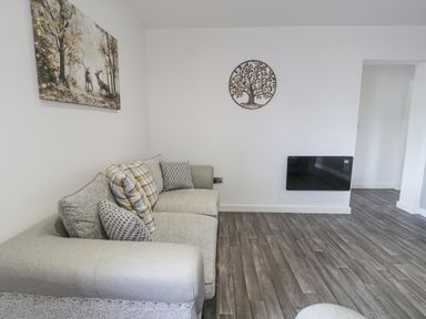 A living room with a gray sofa and cushions a wall-mounted heater and artwork at Luxury Lodge 62 in Dyserth