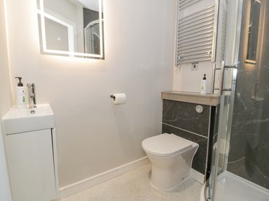 A bathroom with a toilet sink mirror toilet paper holder and a shower at Luxury Lodge 62 in Dyserth