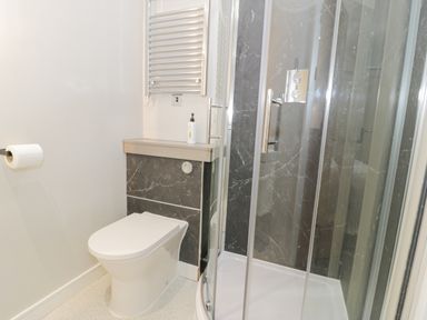 A bathroom with a toilet a shower enclosure and a wall-mounted towel heater at Luxury Lodge 62 in Dyserth