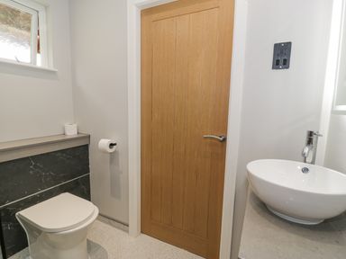 A bathroom with a toilet and a sink next to a wooden door at Luxury Lodge 62 in Dyserth