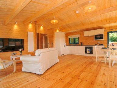 A living room with a sofa and television at Owl Lodge Menheniot