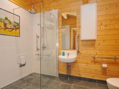 A bathroom with shower, sink and toilet at Owl Lodge in Menheniot