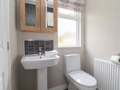 A bathroom with a white toilet sink wooden wall cabinet and a window at Lodge 4 in St Asaph