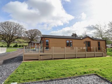 A wooden lodge with glass and wood railing on a deck surrounded by grass and gravel paths at Lodge 4 in St Asaph