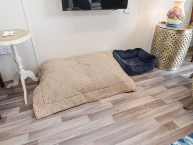 A room corner with two pet beds on a wooden floor a small round white side table and a metallic decorative stool with a vase on top at The Hoot in Great Finborough near Stowmarket