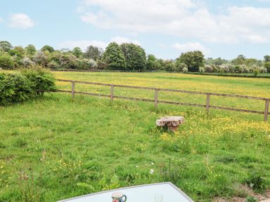 A grassy field with yellow flowers and a wooden fence with trees in the background at The Hoot in Great Finborough near Stowmarket