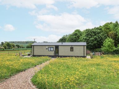 A small cabin with a gravel path and yellow flowers in a field at The Hoot in Great Finborough near Stowmarket