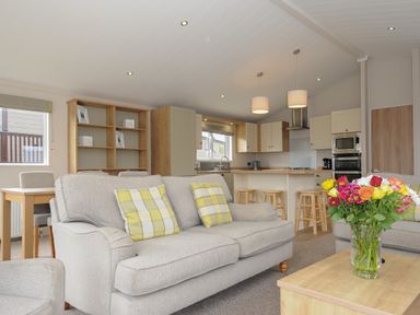 An open living room and kitchen with a sofa with checkered cushions a wooden dining table and a coffee table with flowers at Lodge 67 at Riviera Bay Coastal Retreat in Brixham