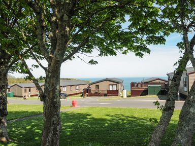 Caravan homes with grass and trees in the foreground and ocean in the background at Lodge 67 at Riviera Bay Coastal Retreat Brixham