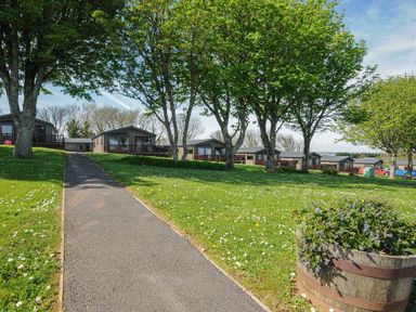 A paved path leading to multiple small wooden lodges surrounded by green grass and trees at Lodge 67 at Riviera Bay Coastal Retreat in Brixham