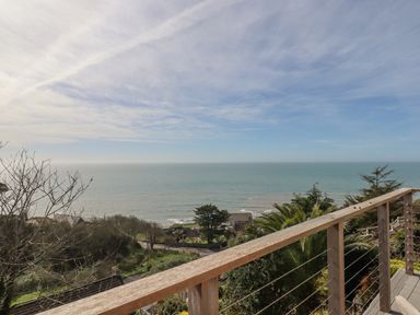 A view of the ocean from a balcony with a wooden railing and trees below at Seahaze in Downderry