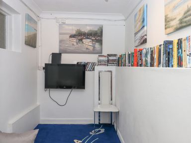 A small room with a wall-mounted TV a white chair a blue carpet books and DVDs on shelves and paintings on the walls at Seahaze in Downderry
