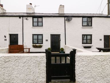 The front of a white cottage with a black door a black gate and a wooden bench at White Lilac Cottage in Brynsiencyn
