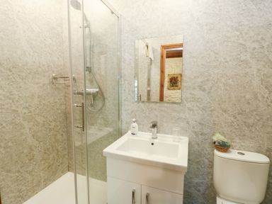 A bathroom with a shower, sink, and toilet at Royal Oak Farm Cottage in Betws-y-Coed