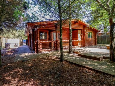A wooden log cabin surrounded by trees with a paved pathway and wooden deck at Starwood in Felton