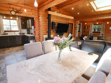 An open plan living and kitchen area with dining table and chairs a television and a sofa in a wooden cabin at Starwood in Felton