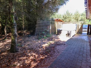An outdoor area with trees a paved pathway a hot tub and a wooden fence at Starwood in Felton
