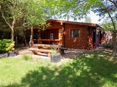 A wooden cabin with a picnic table on a patio surrounded by trees and grass at Starwood in Felton