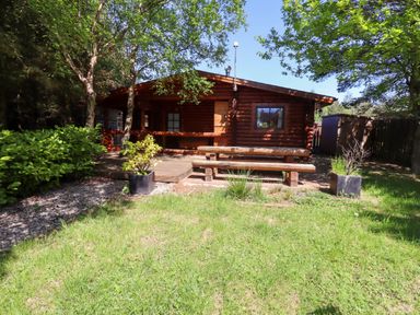 A wooden cabin with a deck and picnic table surrounded by trees and grass at Starwood in Felton