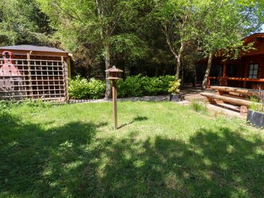 A garden with green grass trees a bird feeder a small shed and a wooden picnic table at Starwood in Felton