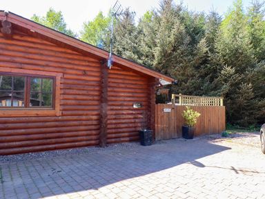 An exterior view of a wooden log cabin with a window and a fenced gate surrounded by tall trees at Starwood in Felton