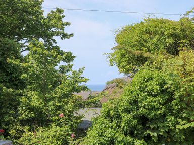 A view of the ocean framed by trees and bushes at Joe’s Barn in Mullion