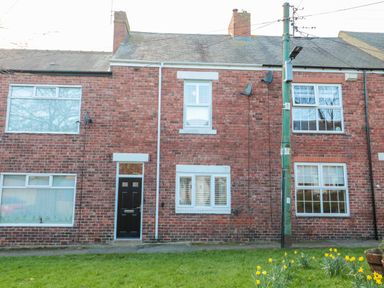 A row of brick terraced houses with windows and doors with a grass lawn and yellow flowers in front at Sunflowers in Earsdon near Whitley Bay