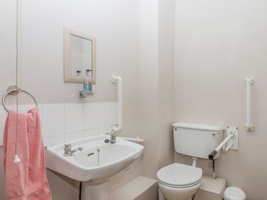 A bathroom with a sink, toilet, mirror, soap dispenser, grab bars, and a pink towel at Brimpts Barn in Dartmeet near Princetown