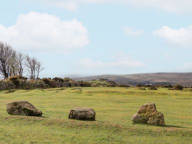 An open grassy field with three large stones in the foreground and a stone wall with trees in the background at Brimpts Barn in Dartmeet near Princetown