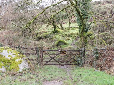 A wooden gate on a grassy path with mossy trees and rocks in a wooded area at Brimpts Barn Dartmeet near Princetown