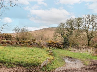 A muddy dirt path leading to a wooden gate with trees and bushes on either side and a hill in the background at Brimpts Barn Dartmeet near Princetown