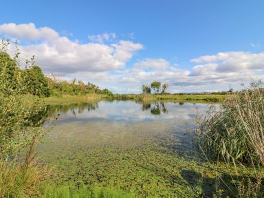 A pond with lily pads surrounded by grass and trees under a blue sky with clouds at Ty Bara in Cemaes Bay