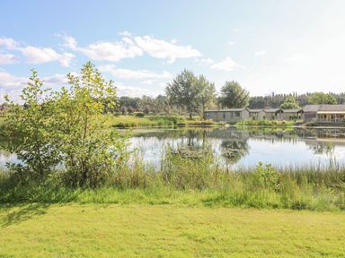 A grassy area with bushes and a pond with houses and trees in the background at Ty Bara in Cemaes Bay