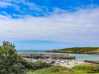 A harbor with boats docked near a stone pier and greenery in the foreground at Ty Bara in Cemaes Bay