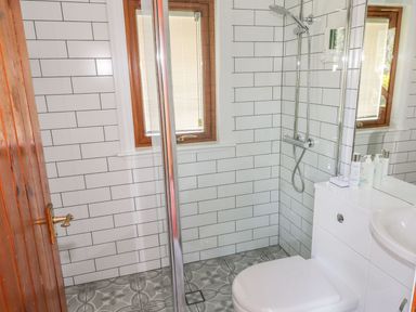A bathroom with a shower area a toilet a countertop with bottles and a window at Thistle Dubh Doo in Sandyhills