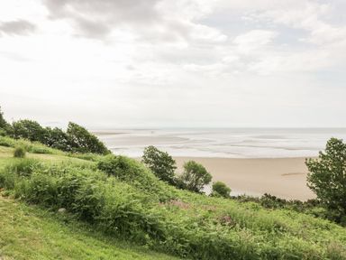 A grassy hillside with bushes and trees overlooking a sandy beach and the sea at Thistle Dubh Sandyhills