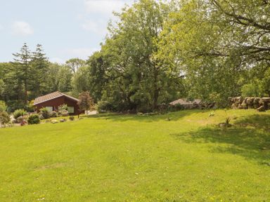 A garden with a house and trees at Thistle Dubh ("Doo") Sandyhills