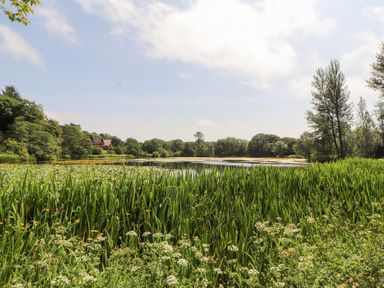 A pond surrounded by grass and trees at Thistle Dubh ('Doo') in Sandyhills