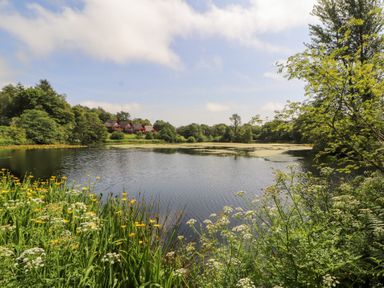 A pond surrounded by trees and flowers at Thistle Dubh ("Doo") in Sandyhills