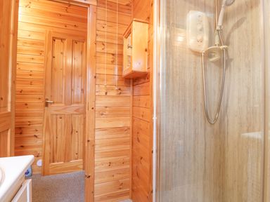 A bathroom with wooden walls a wooden door a wall mounted wooden cabinet and a shower with an electric shower unit at Hayeswater Lodge Burnside Park near Keswick