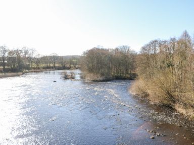 A river flowing through a wooded area with leafless trees along the banks at Bridge End Cottage in Wark
