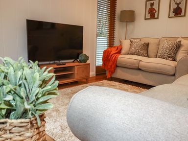 A living room with a TV on a wooden stand beige sofas patterned cushions a floor lamp and a plant in a basket at 1 Streamside in Lanreath