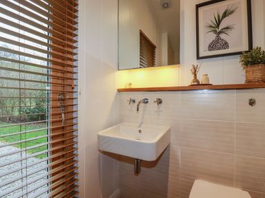 A bathroom with a wall-mounted sink a mirror wooden blinds on the window and decorative plants at 1 Streamside in Lanreath