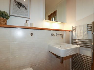 A bathroom with a wall-mounted sink towel rack and a turtle painting at 1 Streamside in Lanreath