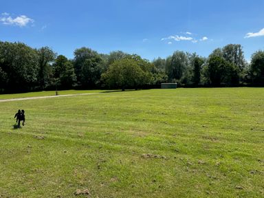A large grassy field with trees in the background and a black dog running at The Farmhouse in St Osyth