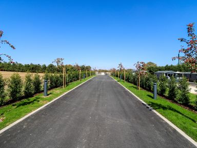 A pathway lined with trees and bushes at Lakewood Plot 2 St. Osyth