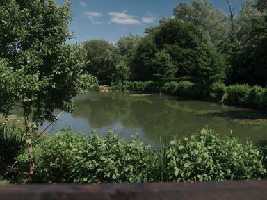 A pond surrounded by trees and bushes at Lakewood Plot 2 St. Osyth